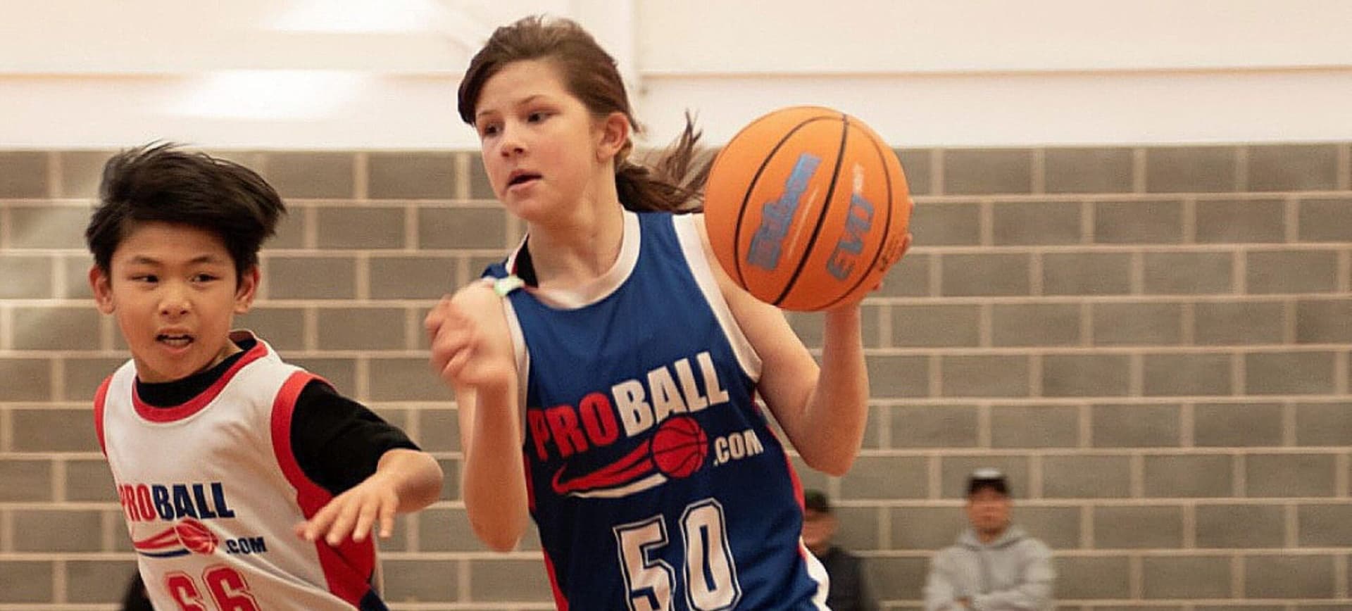 Pagewood Pro Basketball