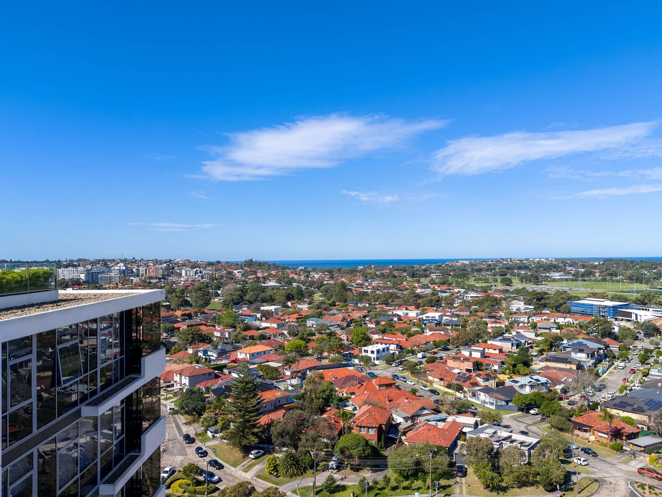 ONLINE – MARIGOLD6