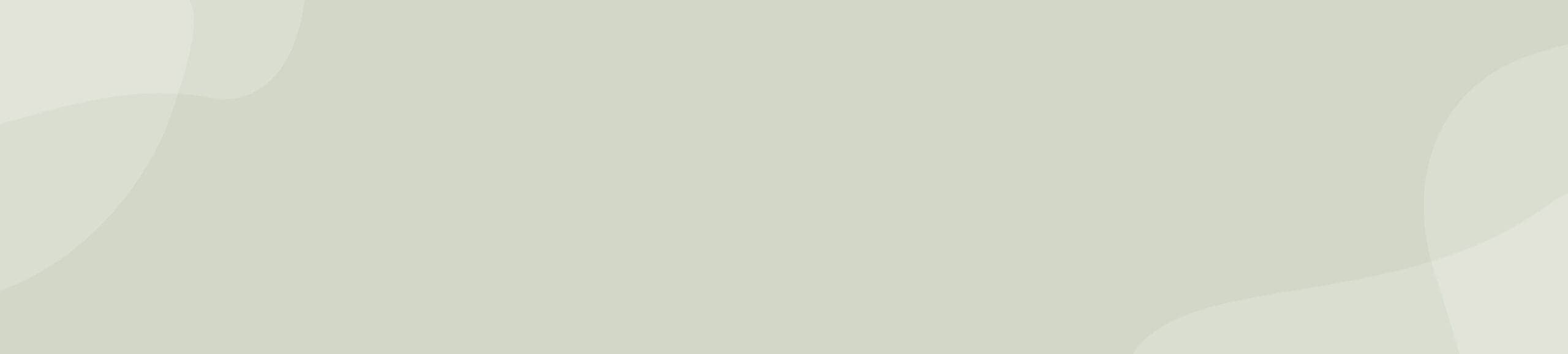 Rivera-stage2-banner-2832x640px