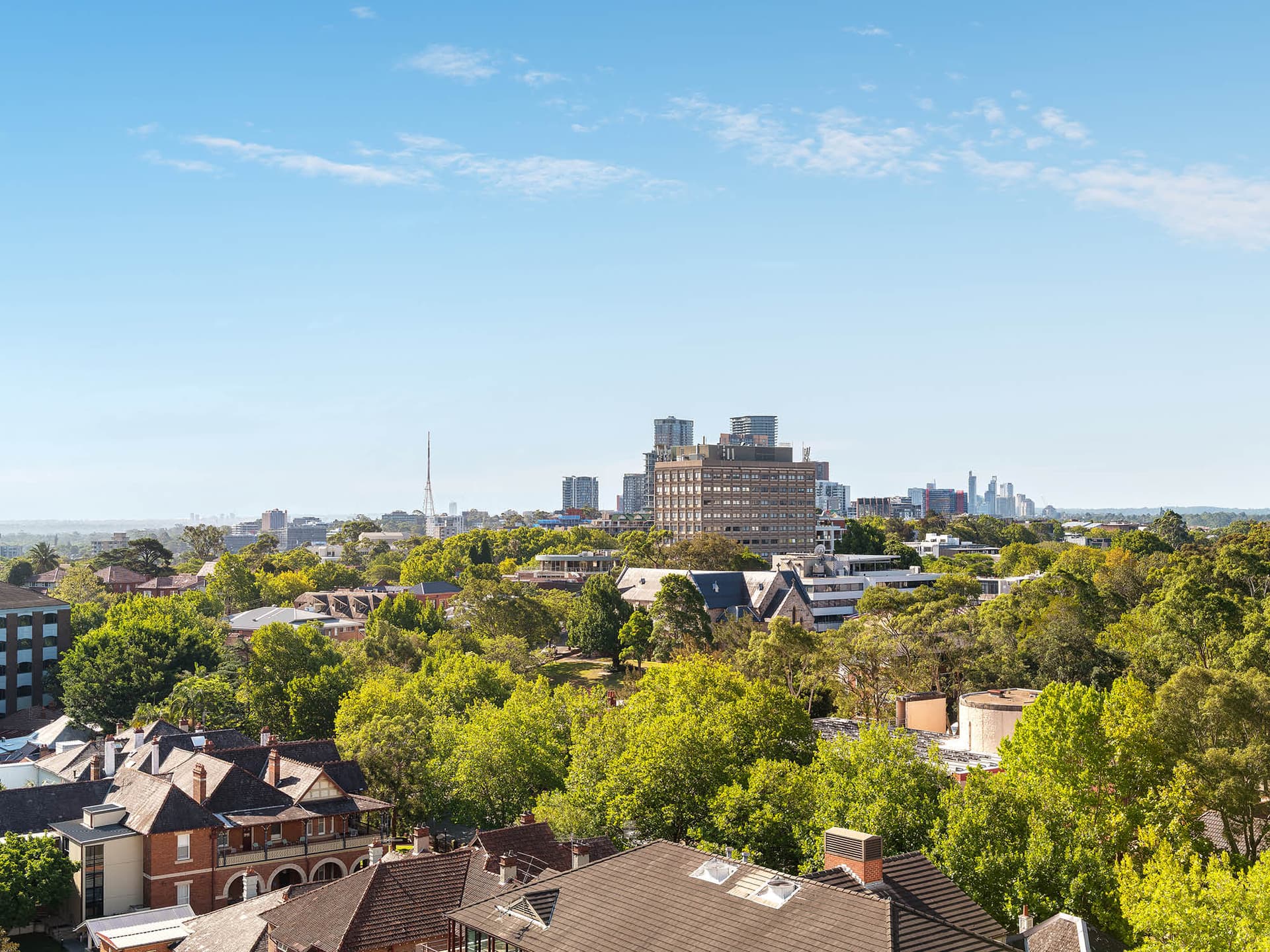 ONLINE – Mulbbery views