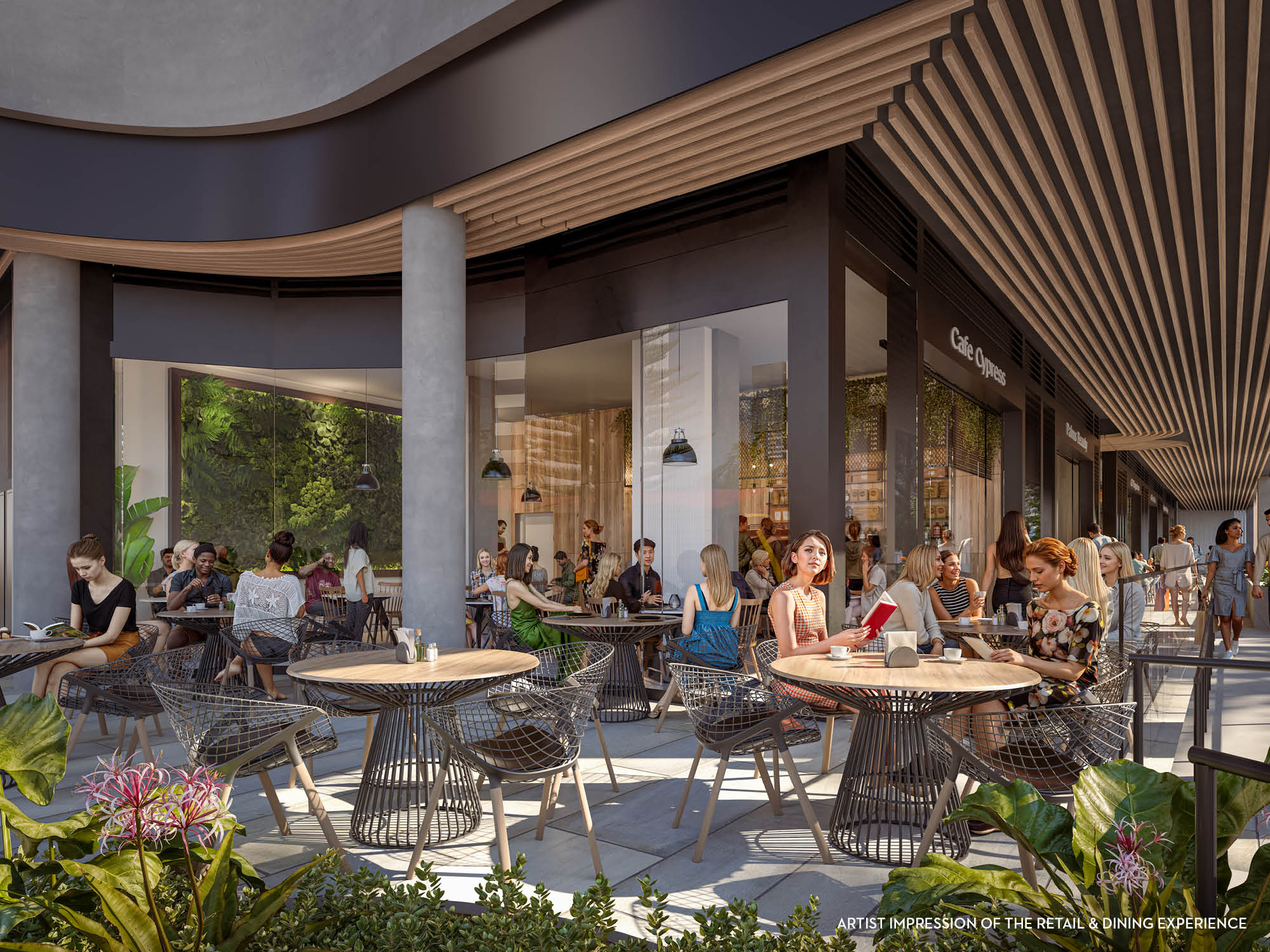 ONLINE – Cypress515